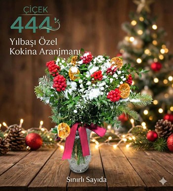 Kokina çiçeği  Yılbaşı çiçeği  Şans çiçeği